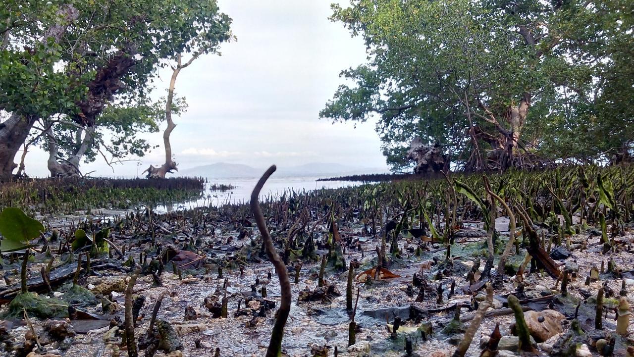 Jonaths Cottage Bunaken Exteriér fotografie